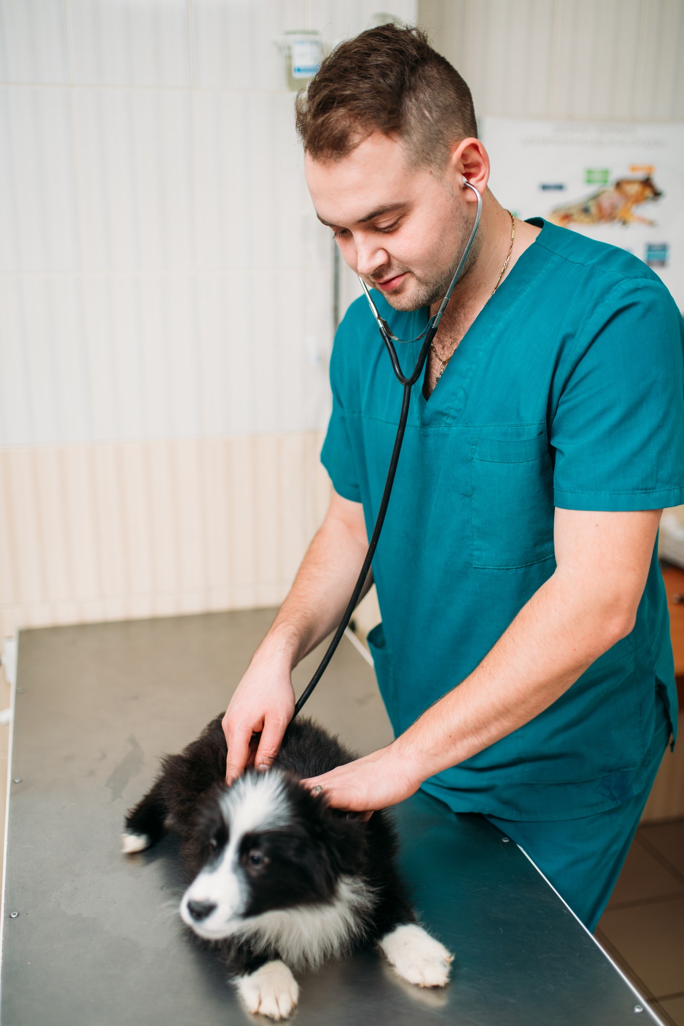In-home Euthanasia