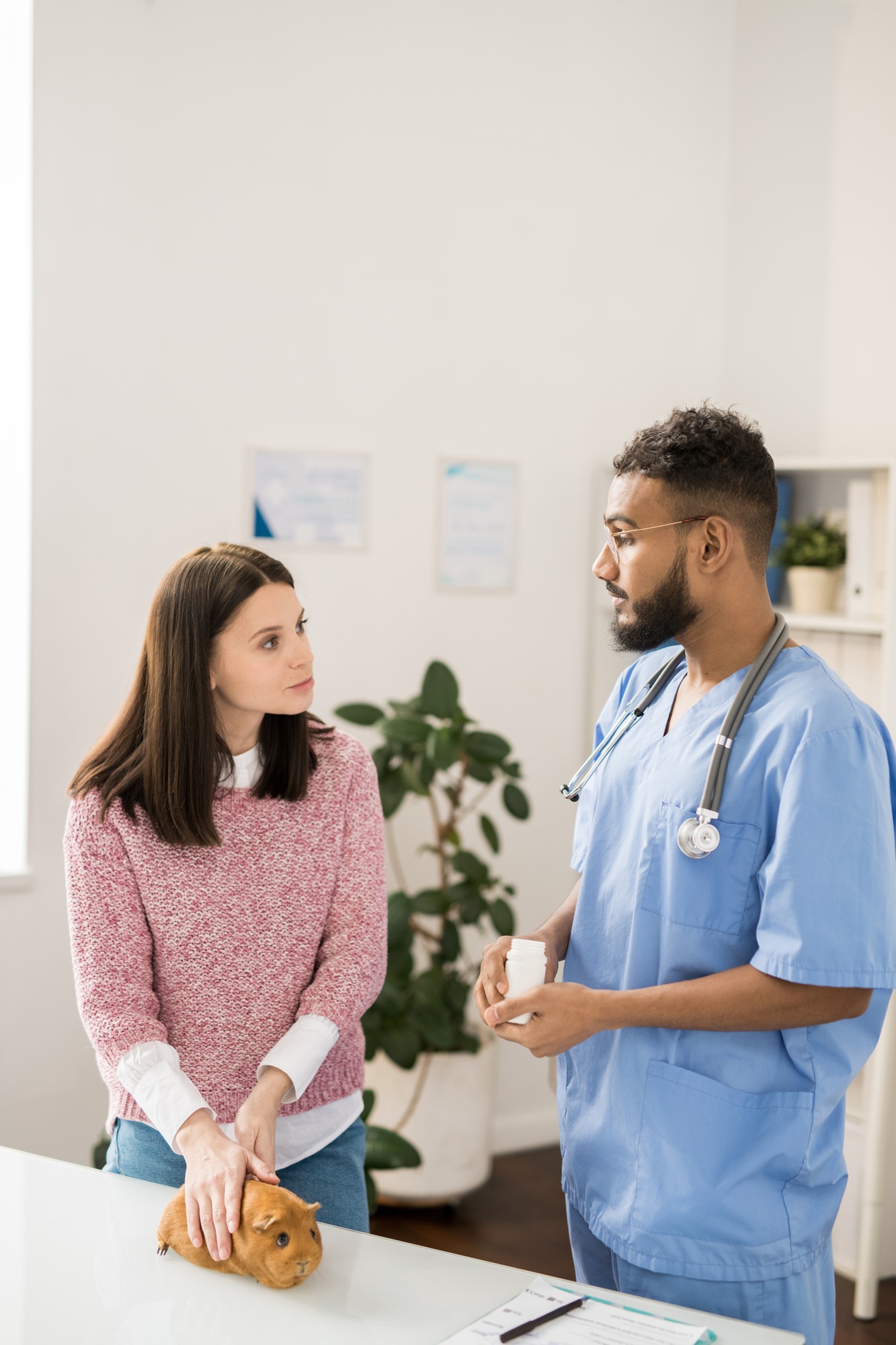 In-home Euthanasia