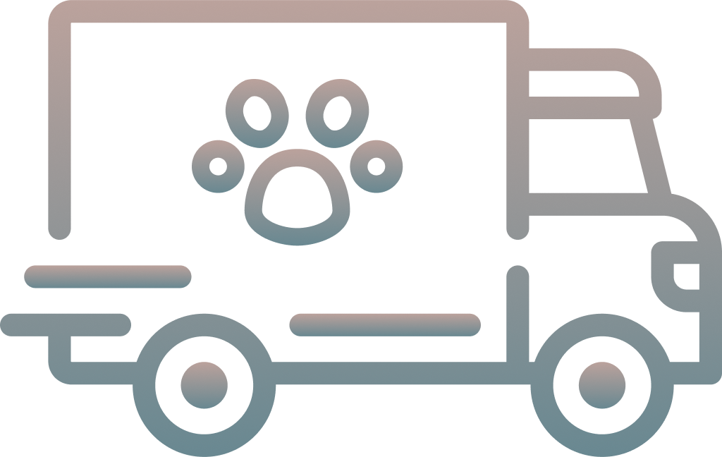 Services