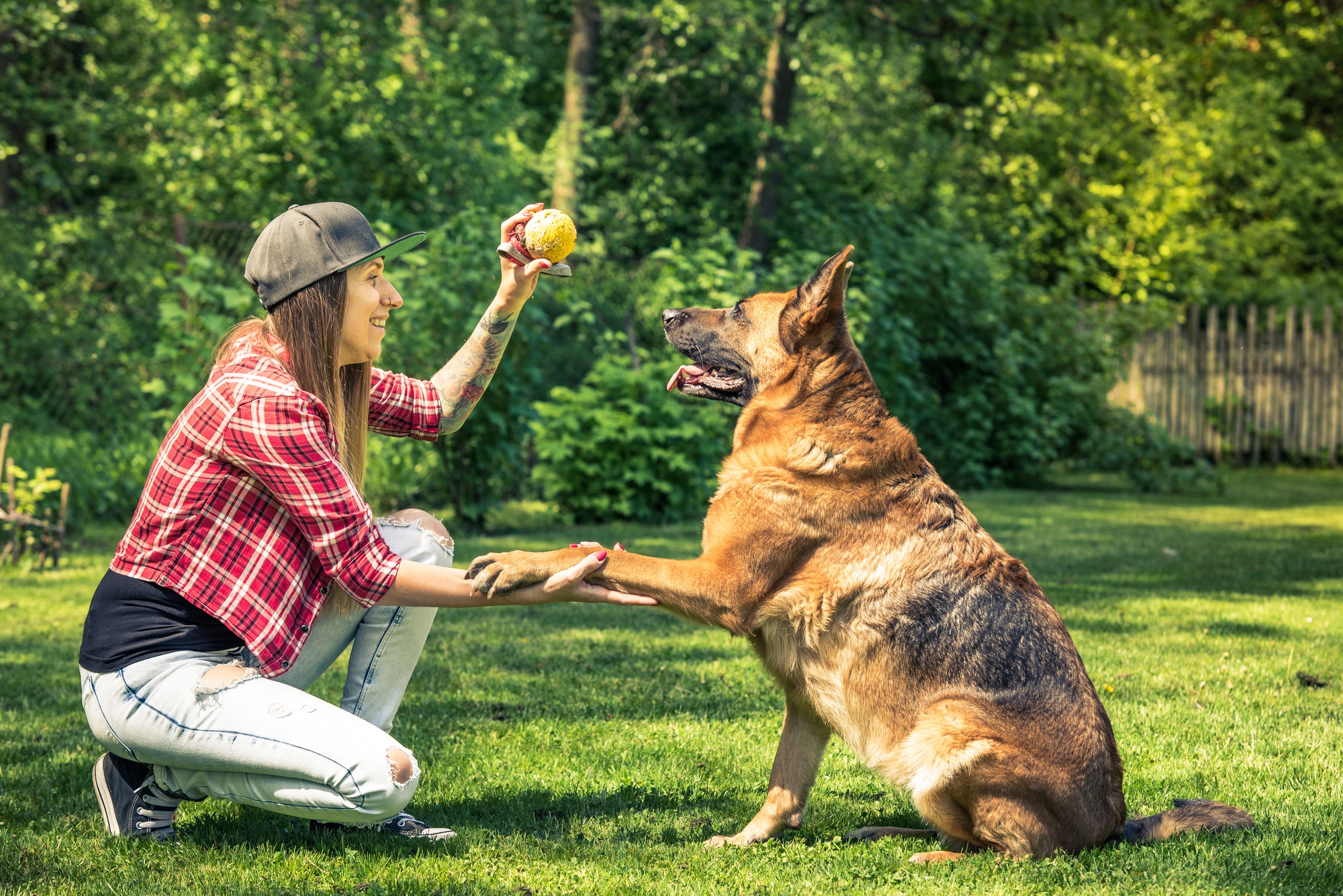 In-home Euthanasia