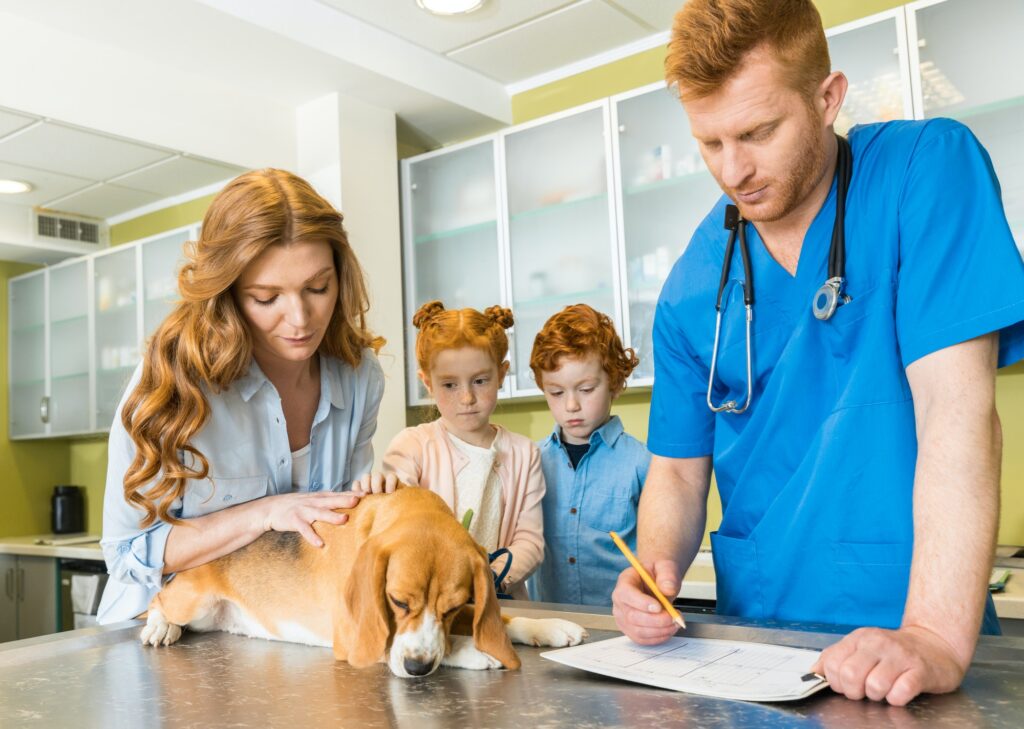 In-home Euthanasia